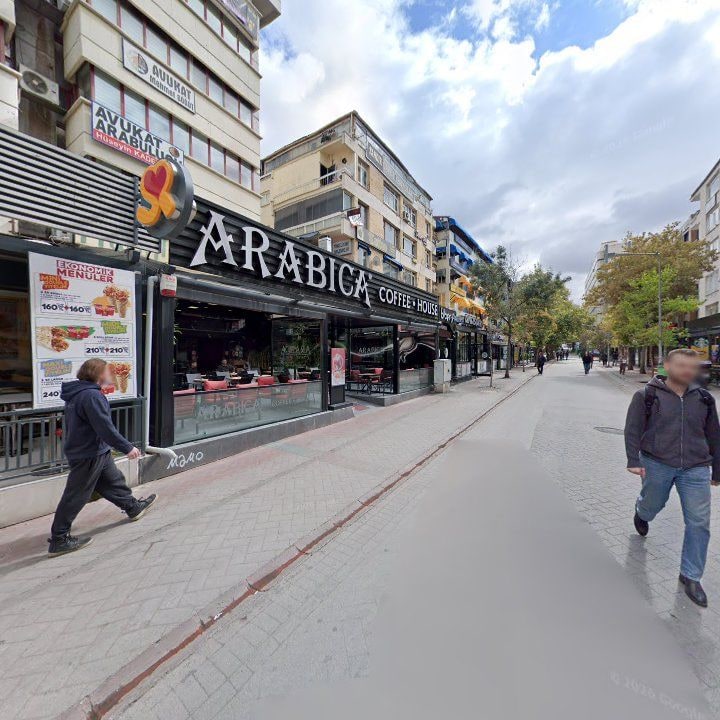 Fotoğraf 12