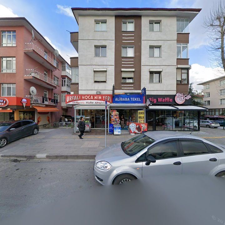 Fotoğraf 7