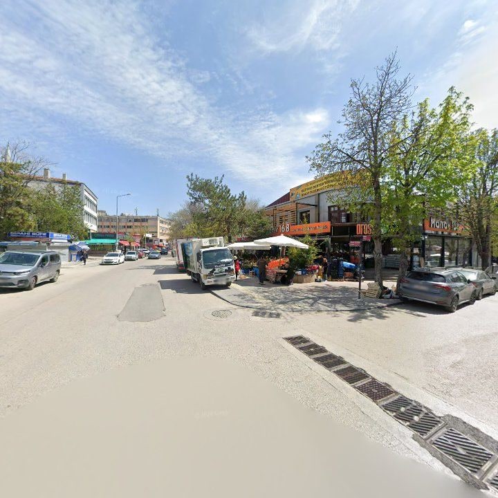 Fotoğraf 11