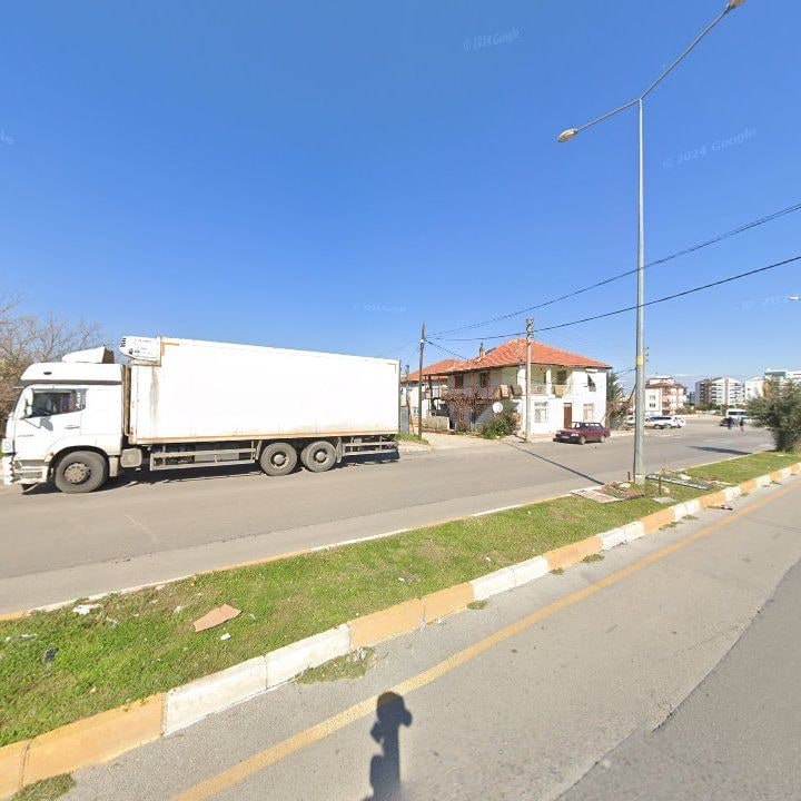 Fotoğraf 7