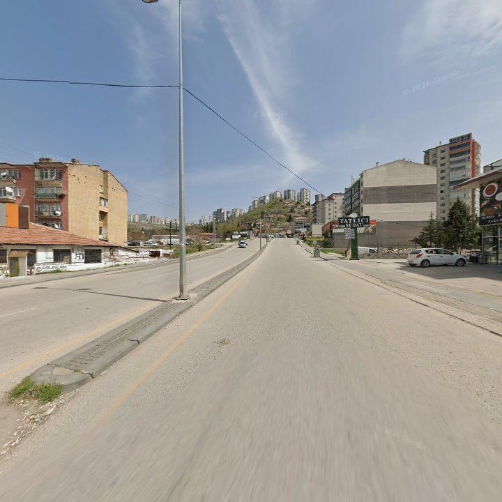 Fotoğraf 14