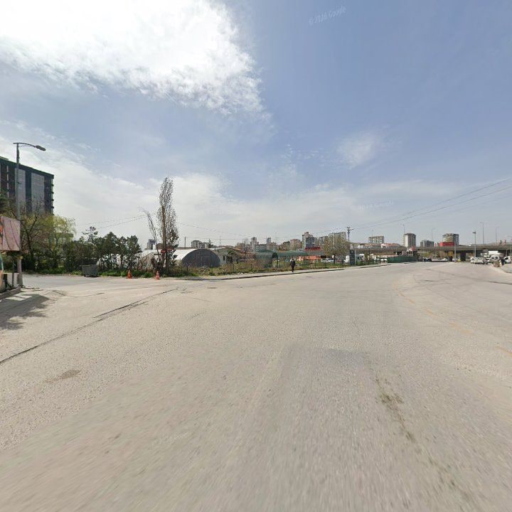 Fotoğraf 12