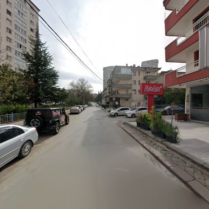 Fotoğraf 8