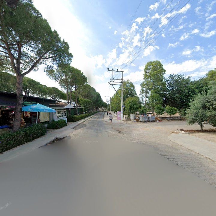 Fotoğraf 7