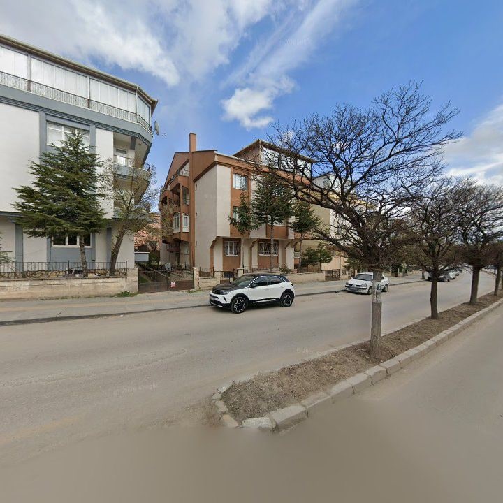 Fotoğraf 12