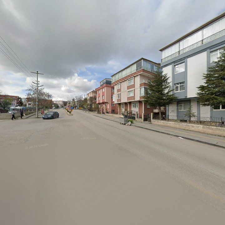 Fotoğraf 11