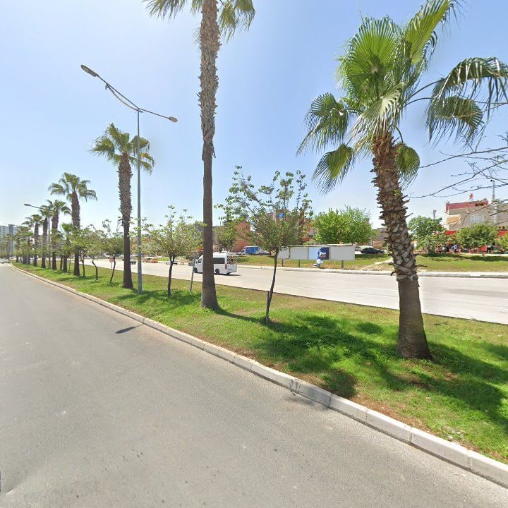 Fotoğraf 9