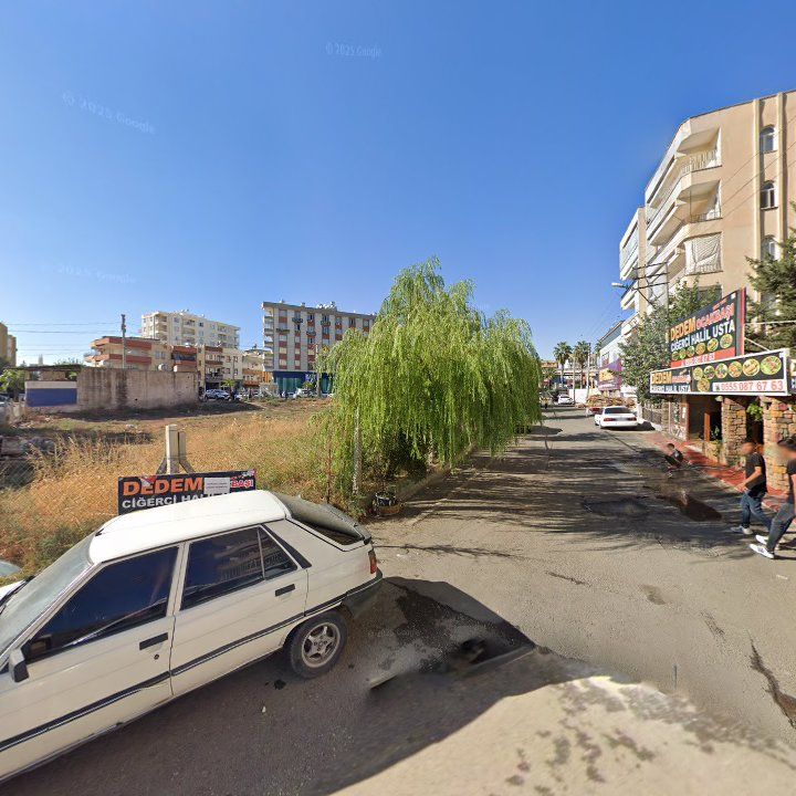 Fotoğraf 4