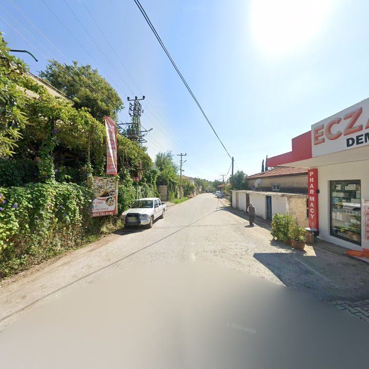 Fotoğraf 9