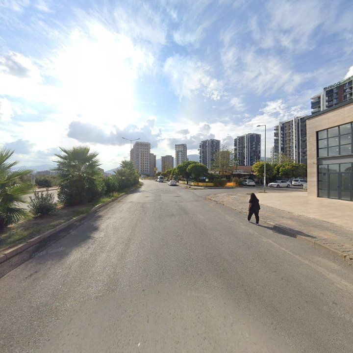 Fotoğraf 8