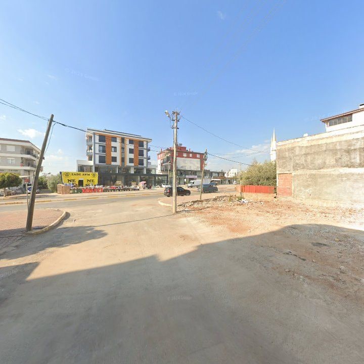 Fotoğraf 8