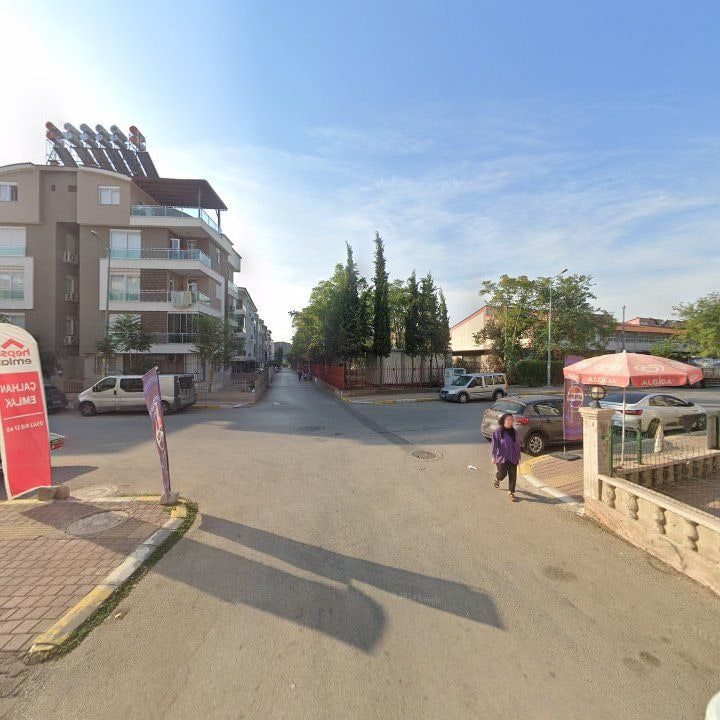 Fotoğraf 6