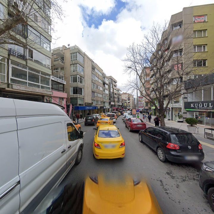 Fotoğraf 10