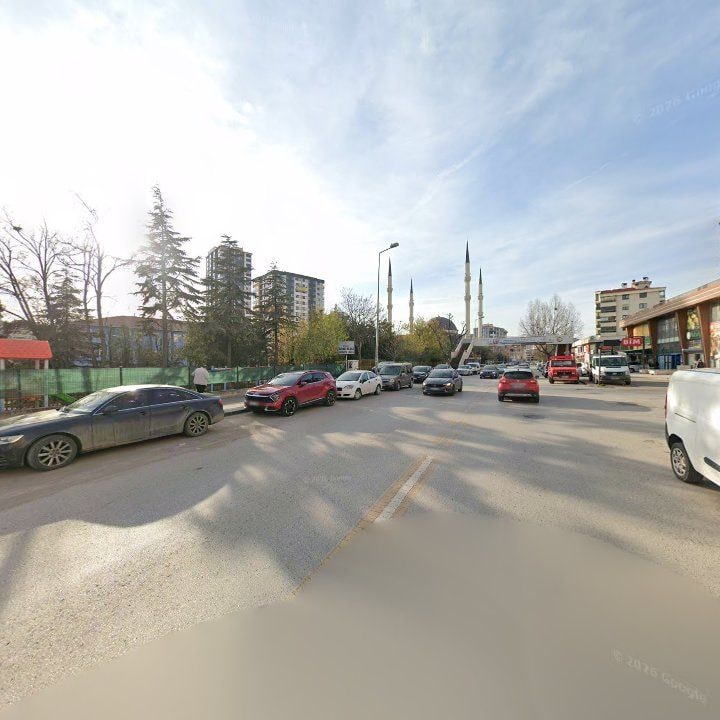 Fotoğraf 10