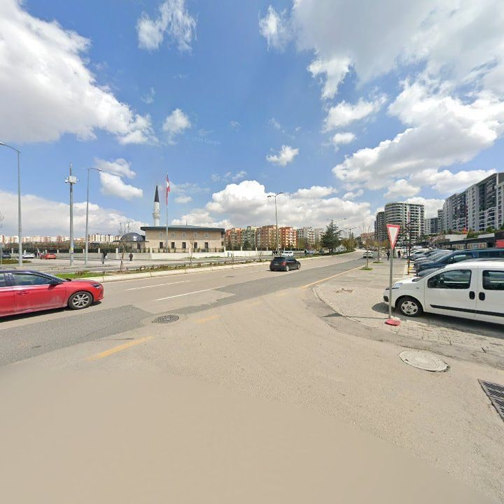 Fotoğraf 11
