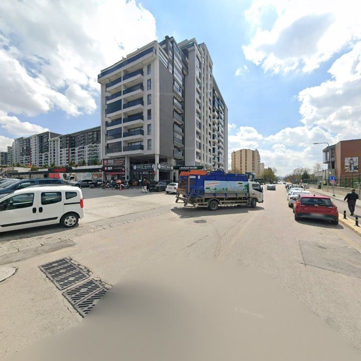 Fotoğraf 12