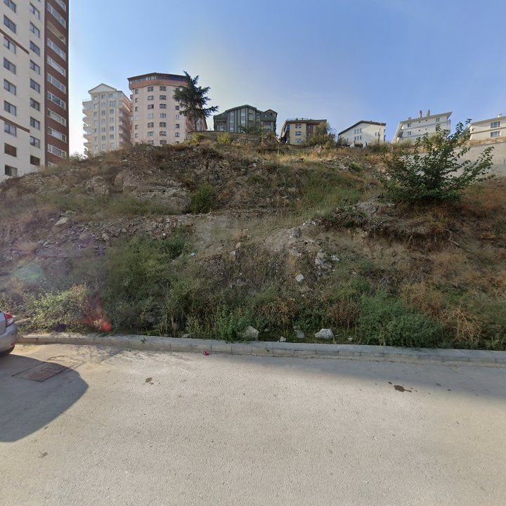 Fotoğraf 10
