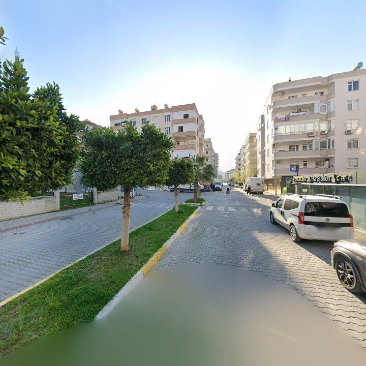 Fotoğraf 11