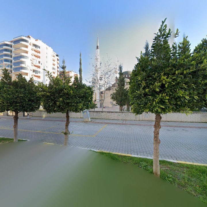 Fotoğraf 10