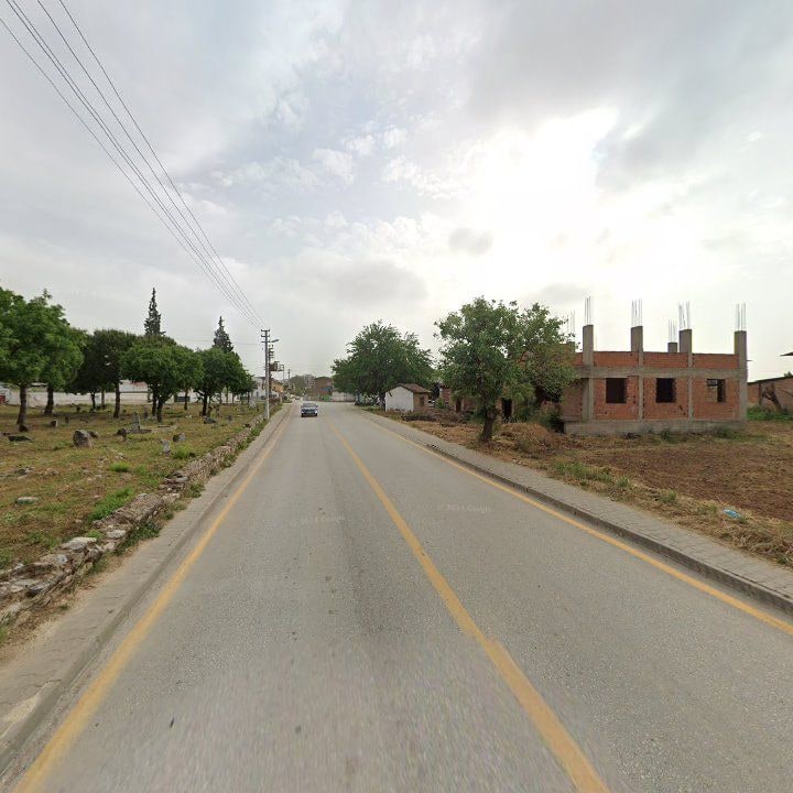 Fotoğraf 9