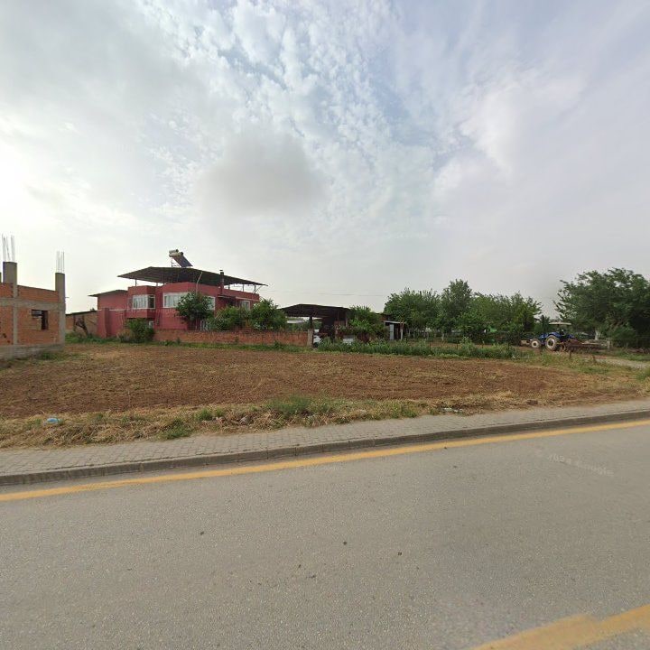 Fotoğraf 6