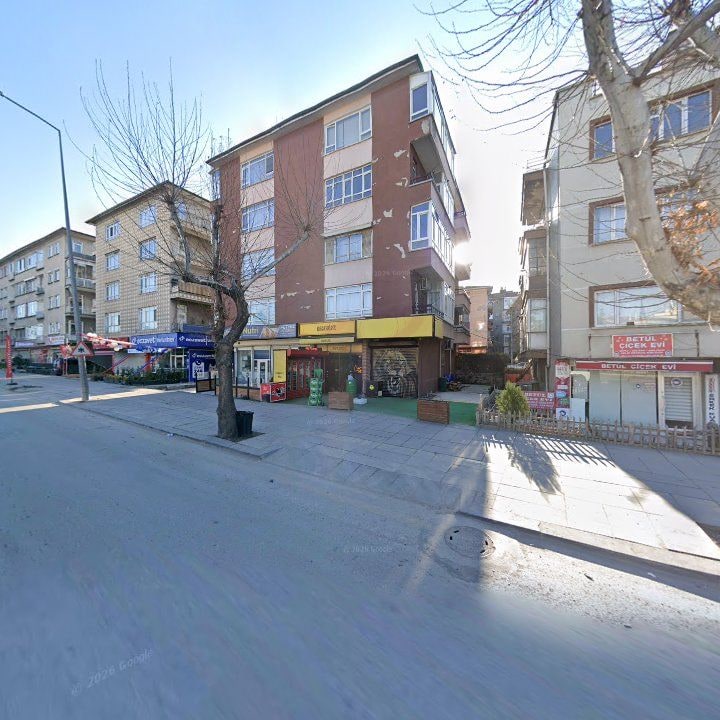 Fotoğraf 6