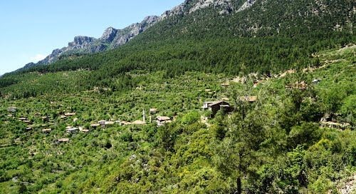 Üzümdere