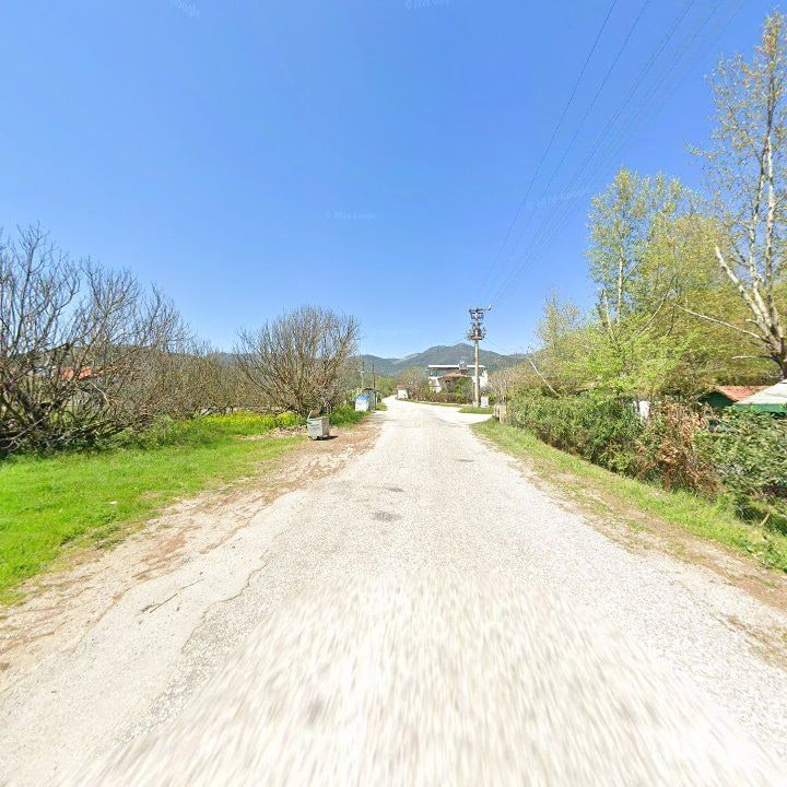 Fotoğraf 8