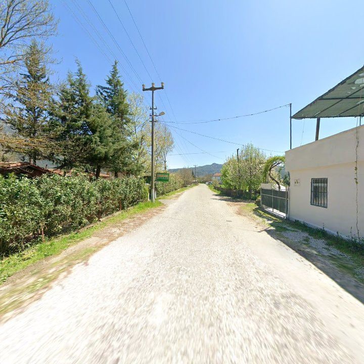 Fotoğraf 6