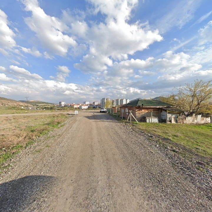 Fotoğraf 8