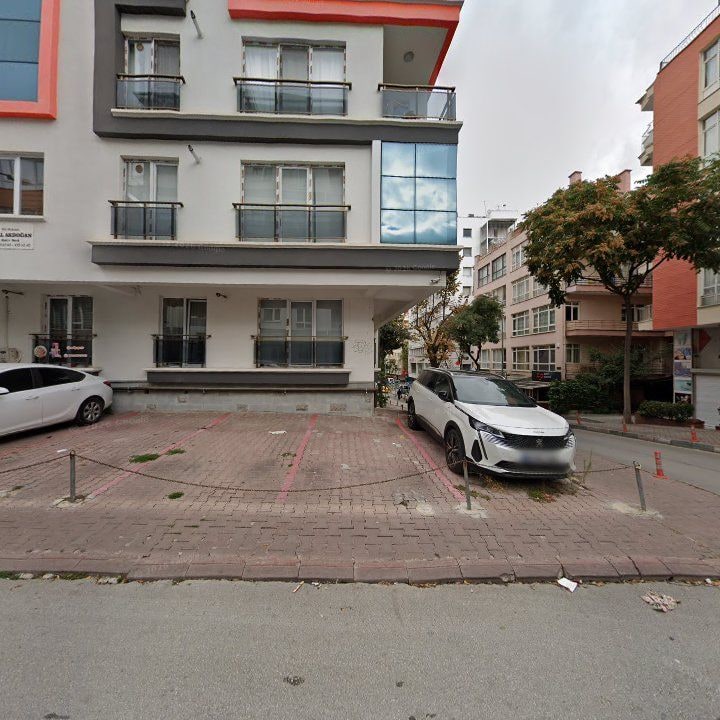Fotoğraf 12