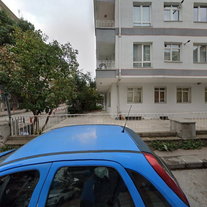 Fotoğraf 10