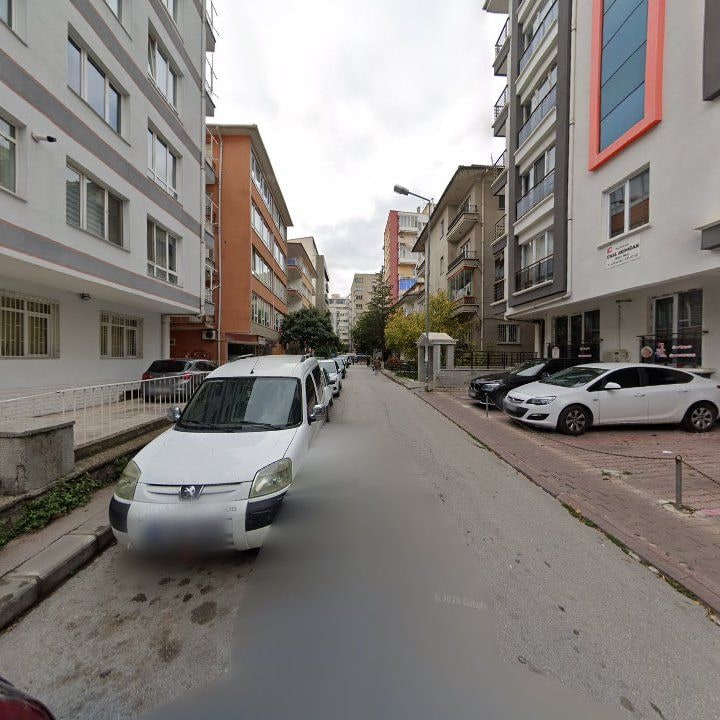Fotoğraf 11