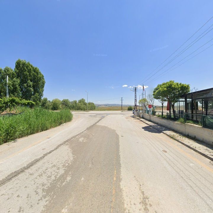 Fotoğraf 8