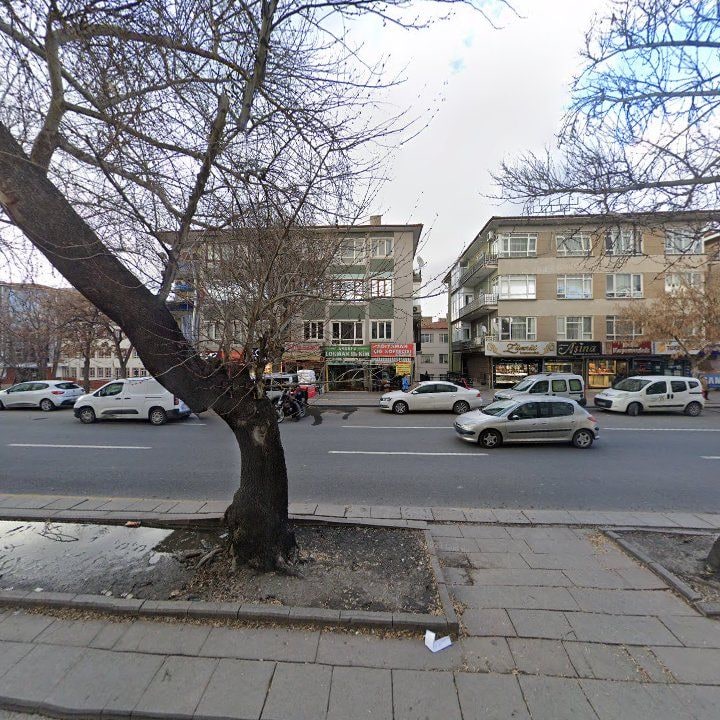 Fotoğraf 12