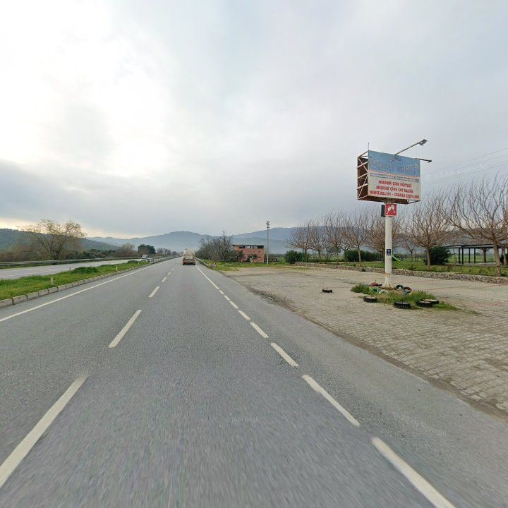 Fotoğraf 11
