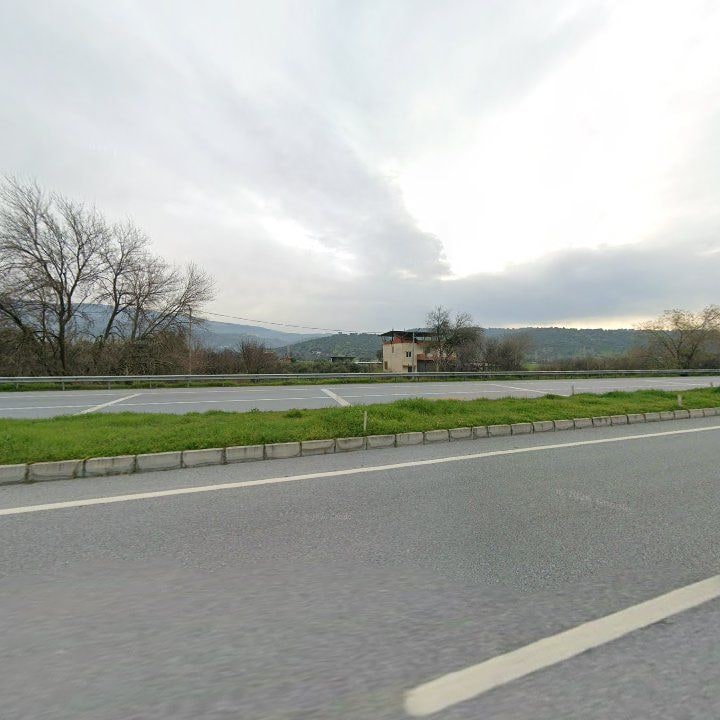 Fotoğraf 10