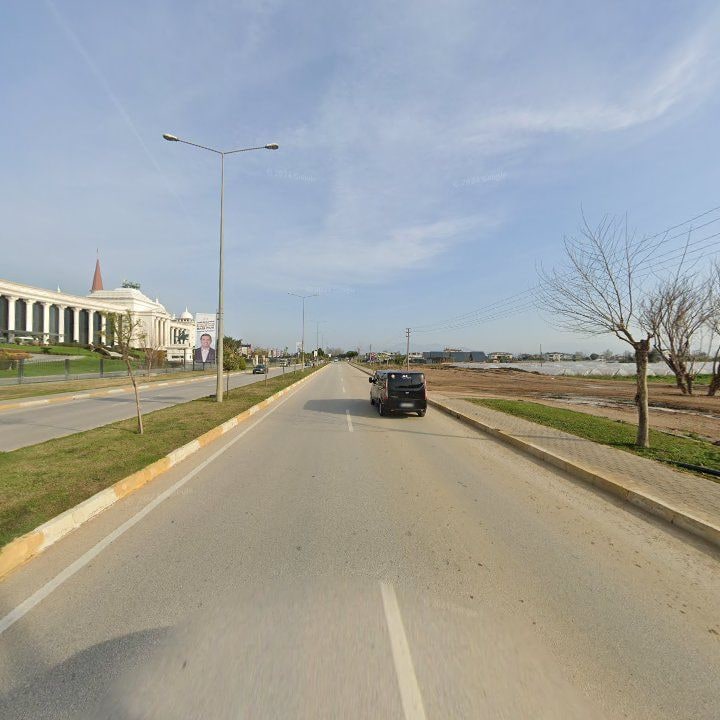 Fotoğraf 10