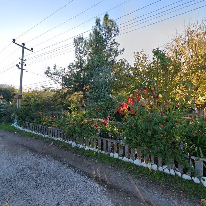 Fotoğraf 11