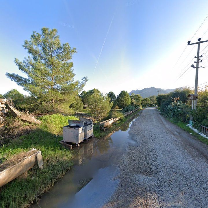 Fotoğraf 10