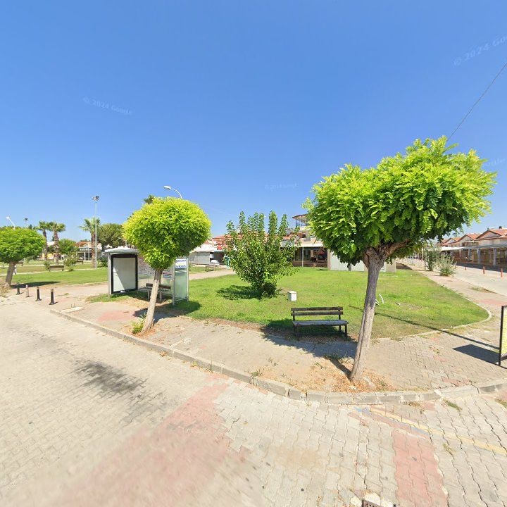 Fotoğraf 9