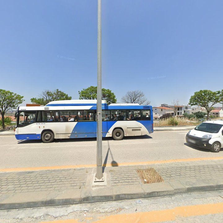 Fotoğraf 10