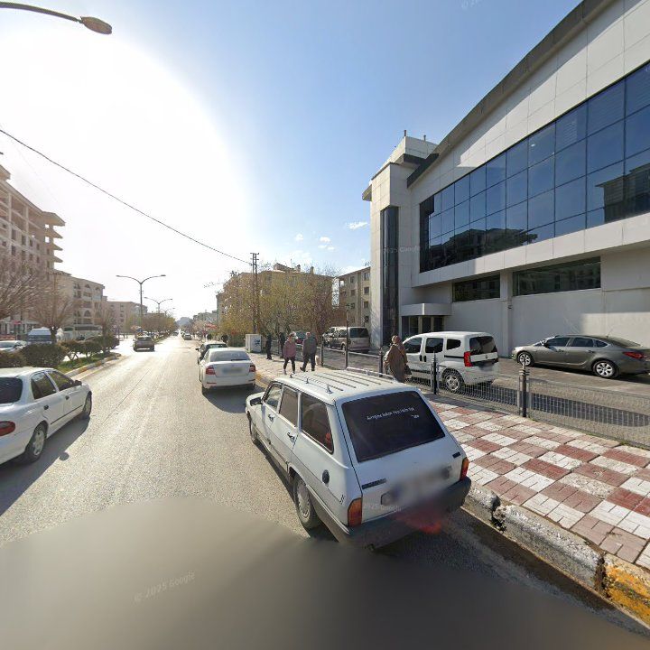 Fotoğraf 11
