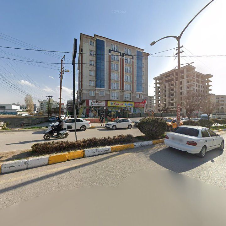 Fotoğraf 10