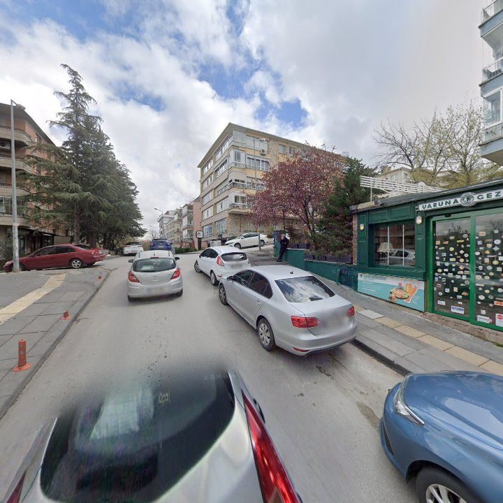 Fotoğraf 16