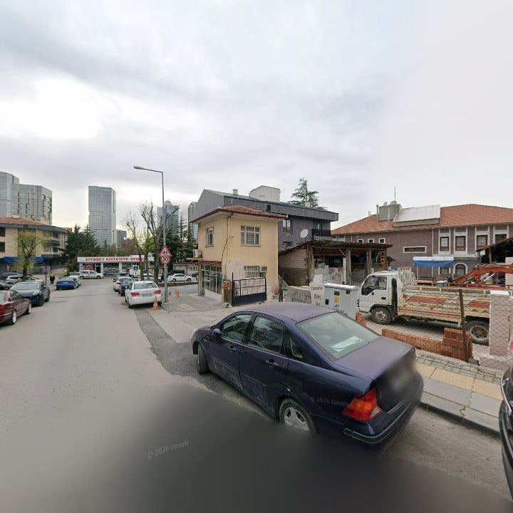 Fotoğraf 13