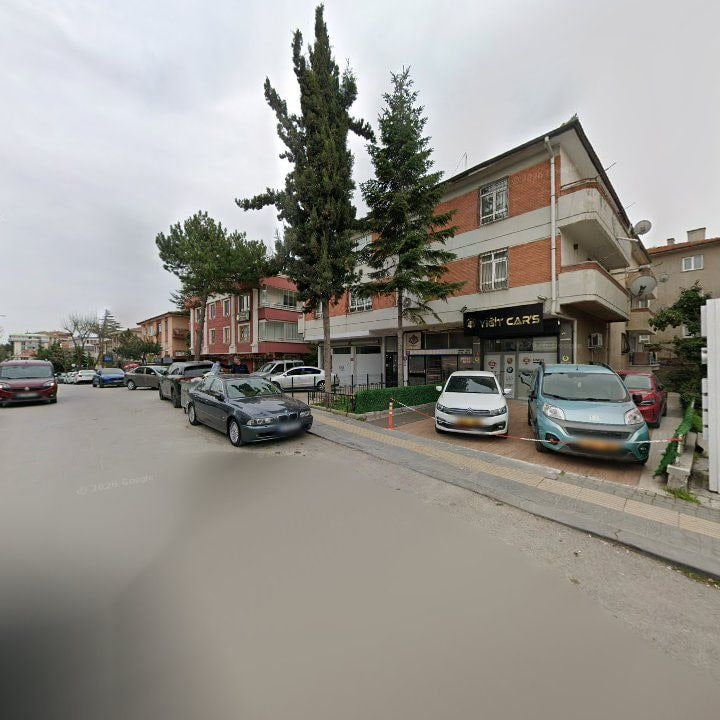 Fotoğraf 15