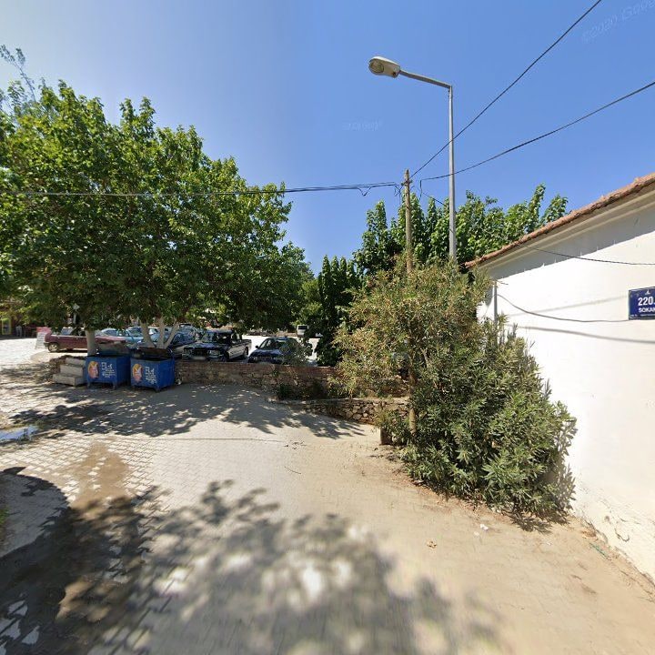 Fotoğraf 10