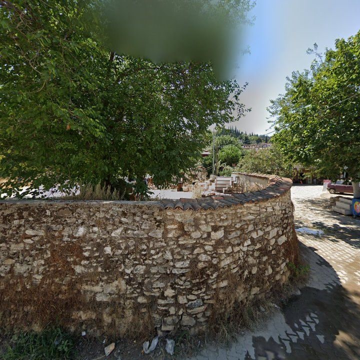 Fotoğraf 9