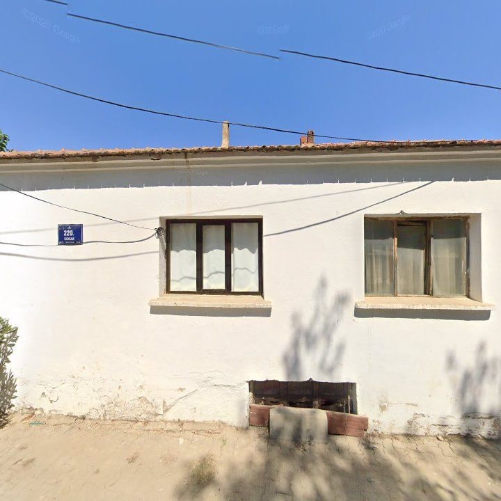 Fotoğraf 7